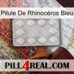 Pilule De Rhinocéros Bleu 16